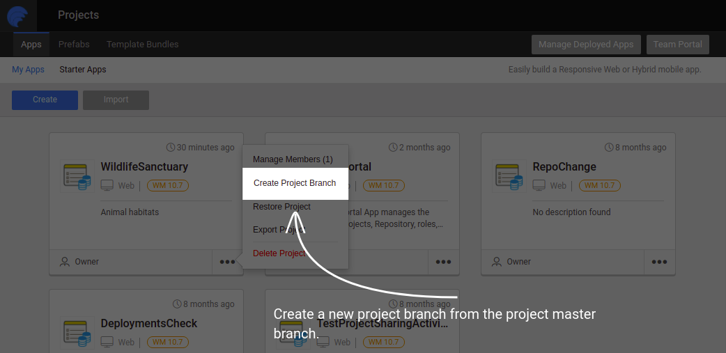 Create project branch